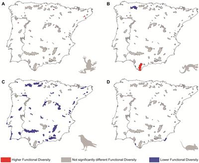 Iberian Protected Areas Capture Regional Functional, Phylogenetic and Taxonomic Diversity of Most Tetrapod Groups